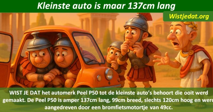 Gratis grappige cartoon foto over een heel kleine auto met te veel passagiers met leuke weetjes, wist je datjes