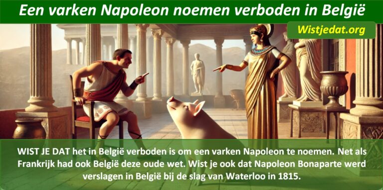 België leuke weetjes, wist je datjes en handige TIPS