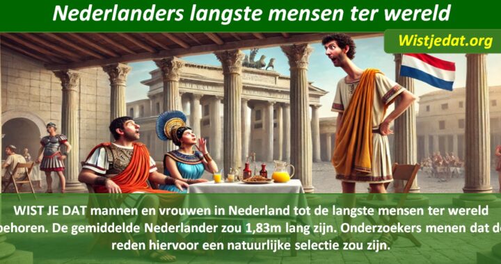 Nederland en Nederlanders, leuke weetjes, wist je datjes en TIPS