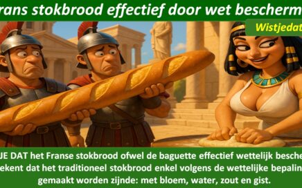 Gratis grappige cartoon foto van een dame die een zéér groot Frans brood baguette aan het bakken is met leuk weetje en wist je datje