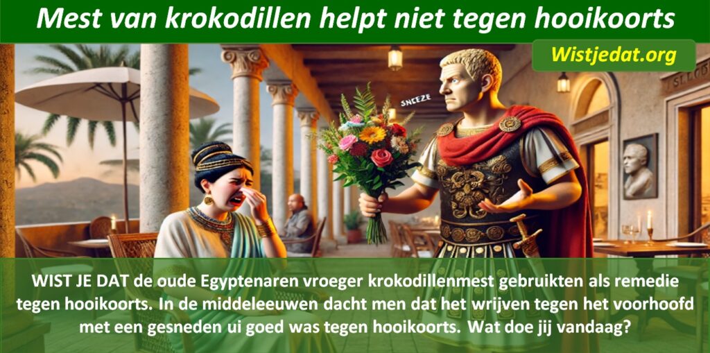 Hooikoorts leuke weetjes wist je datjes en handige TIPS