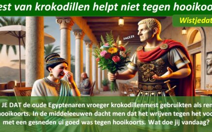 Hooikoorts leuke weetjes wist je datjes en handige TIPS