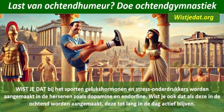lichaamsbeweging leuke weetjes wist je datjes en handige TIPS