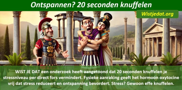 Ontspanning en ontspannen, leuke weetjes, wist je datjes en handige TIPS