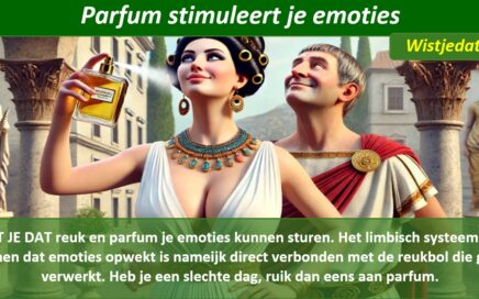 Parfum en goed ruiken, leuke weetjes, wist je datjes en handige TIPS