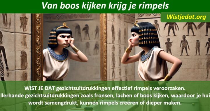 Rimpels en huidrimpels, leuke weetjes, wist je datjes en handige TIPS