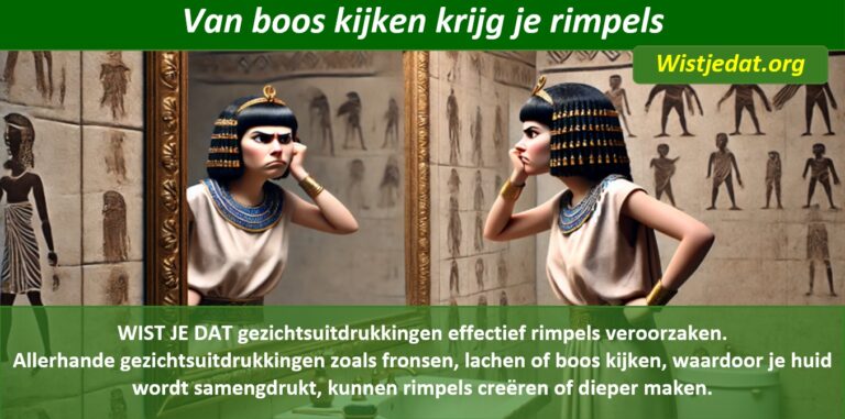 Rimpels en huidrimpels, leuke weetjes, wist je datjes en handige TIPS
