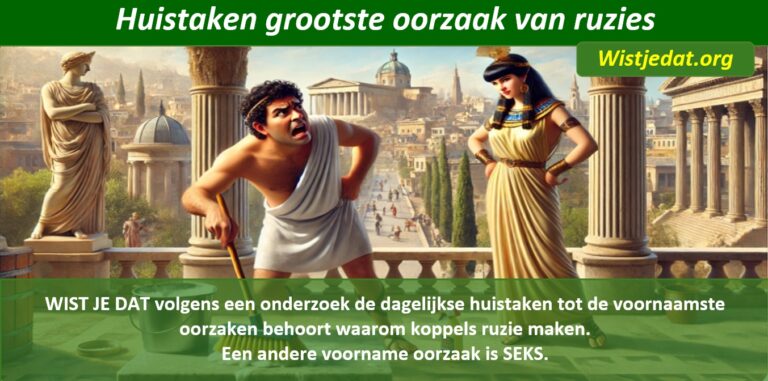 Ruzie maken in een relatie, leuke weetjes wist je datjes en handige TIPS