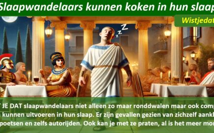 slaapwandelen leuke weetjes, wist je datjes en handige TIPS