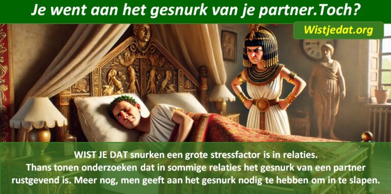 Snurken leuke weetjes, wist je datjes en handige TIPS