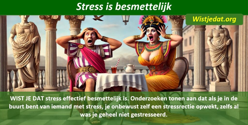 stress leuke weetjes, wist je datjes en handige TIPS
