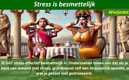 stress leuke weetjes, wist je datjes en handige TIPS