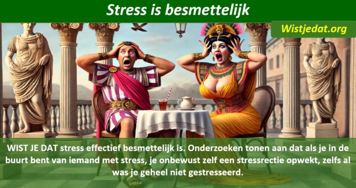 stress leuke weetjes, wist je datjes en handige TIPS