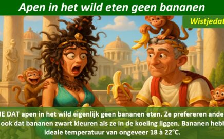 Gratis grappige cartoon foto met apen die bananen stelen van een koppel met leuke weetjes, wist je datjes