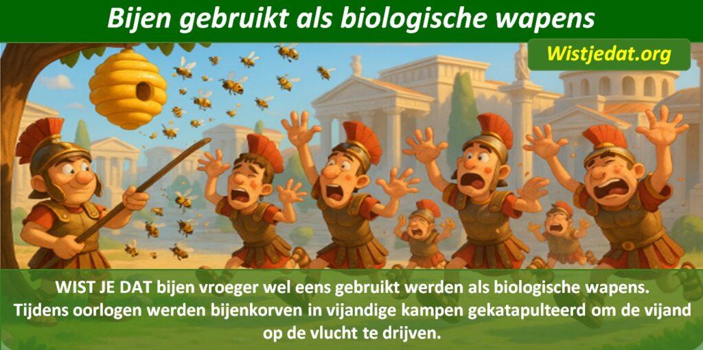 Gratis grappige cartoon foto met bijen en een bijenkorf die met een katapult als wapen gebruikt wordt met leuke weetjes, wist je datjes
