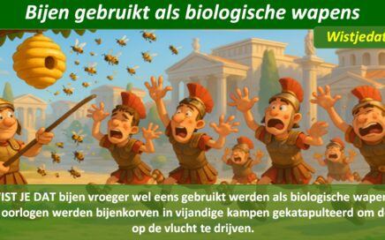 Gratis grappige cartoon foto met bijen en een bijenkorf die met een katapult als wapen gebruikt wordt met leuke weetjes, wist je datjes