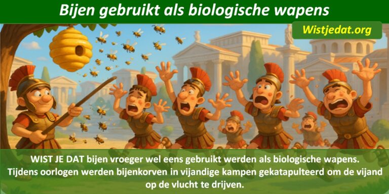 Gratis grappige cartoon foto met bijen en een bijenkorf die met een katapult als wapen gebruikt wordt met leuke weetjes, wist je datjes