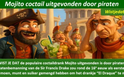 Gratis grappige cartoon foto over een piraat en zijn uitvinding van cocktails met leuke weetjes, wist je datjes