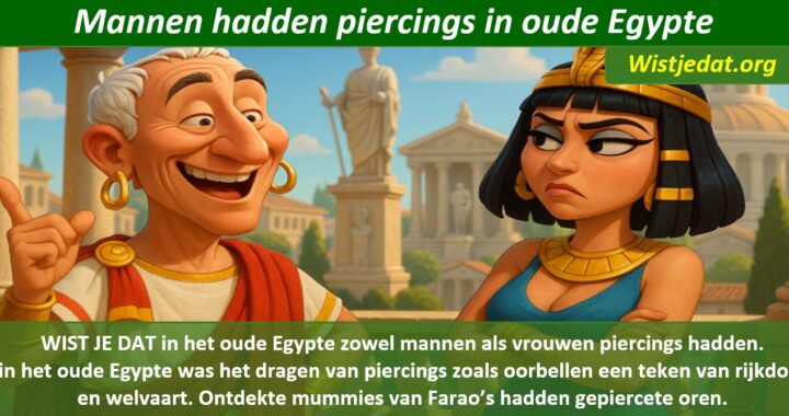 Gratis grappige cartoon foto van man die oorbellen en piercing draagt tegen de zin van zijn vrouw met leuke weetjes, wist je datjes