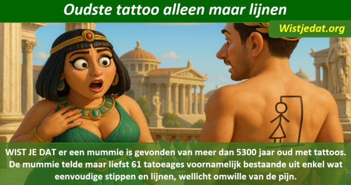 Gratis grappige cartoon foto van een vreemde tattoo of tatoeages op de rug van een man met boze vrouw met leuke weetjes, wist je datjes