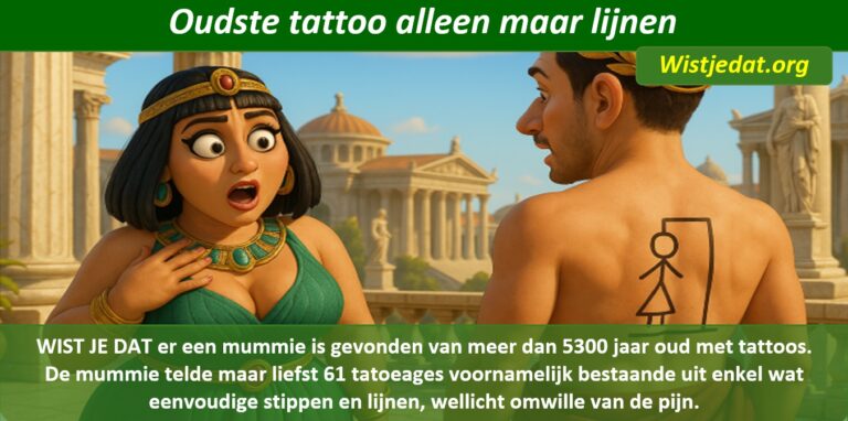 Gratis grappige cartoon foto van een vreemde tattoo of tatoeages op de rug van een man met boze vrouw met leuke weetjes, wist je datjes