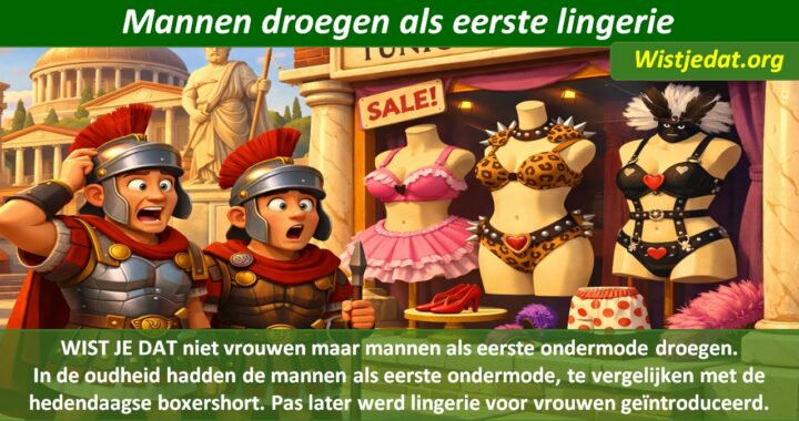 Leuke weetjes en wist je datjes over lingerie en ondermode