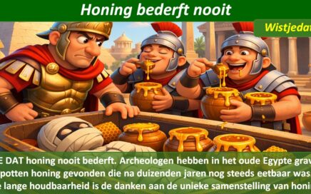 Op deze website pagina vind je enkele fascinerende feiten en bizarre wist je datjes over honing die je misschien nog niet kent.