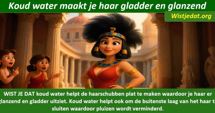 fascinerende feiten, leuke weetjes en bizarre wistjedatjes over een koude douche